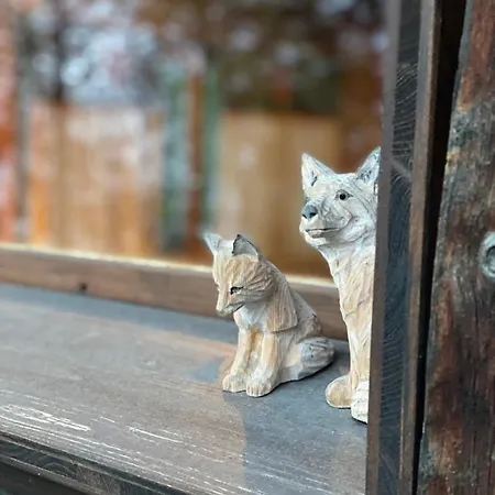 Atypique Colorado 샬레