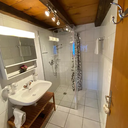 Atypique Colorado * 크란스몬타나