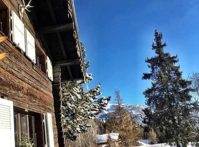 Alpstuga Atypique Colorado *