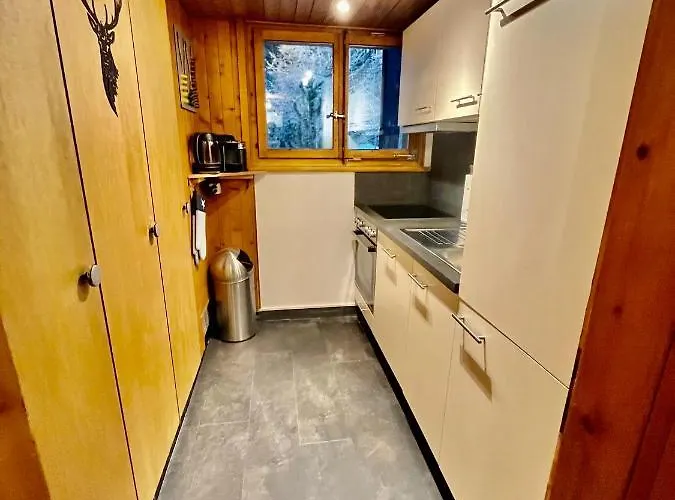 Atypique Colorado 木屋