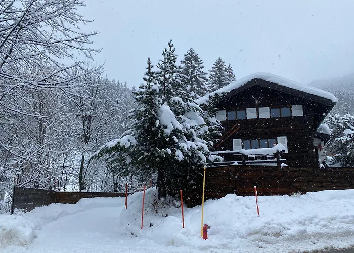 Chalet Atypique Colorado Crans-Montana